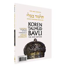Sanhedrin: Vol.24D, Daf 49b-68a, Paperback