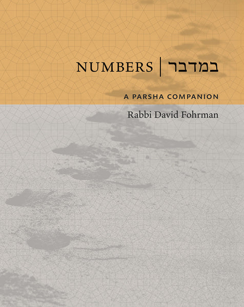 A Parsha Companion - Set