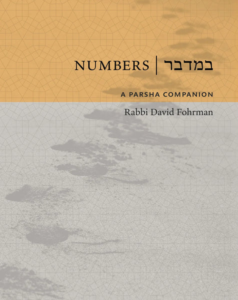 A Parsha Companion - Set