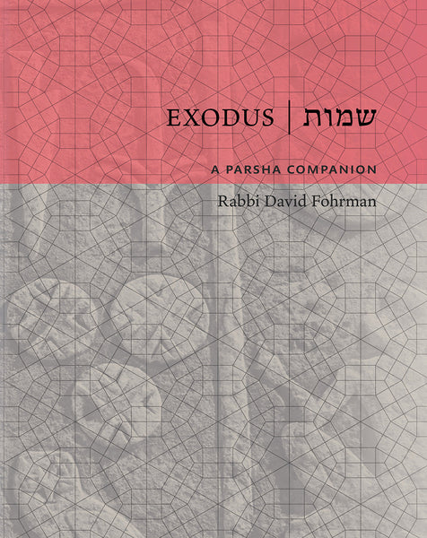 A Parsha Companion - Set
