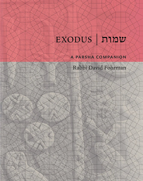 A Parsha Companion - Set