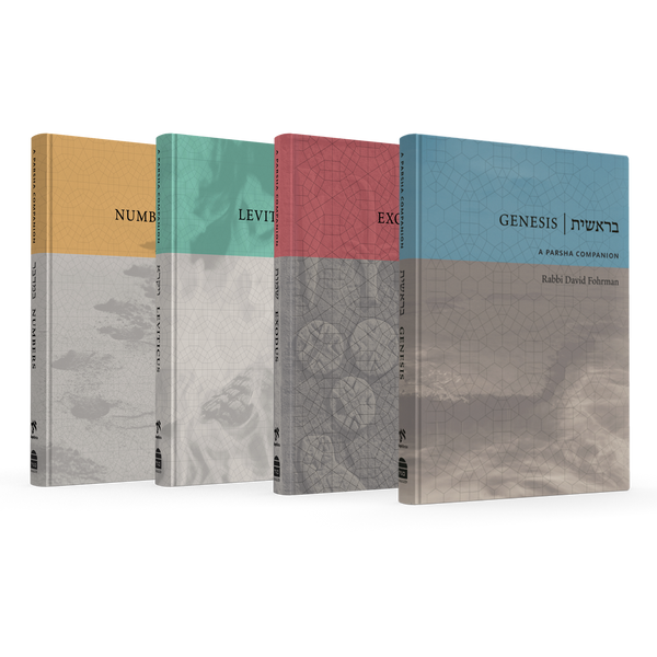 A Parsha Companion - Set